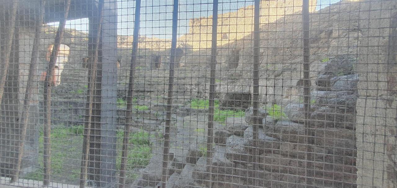 Апартаменты Domus Odeon La Casa Nel Parco Archeologico Di Катания Экстерьер фото